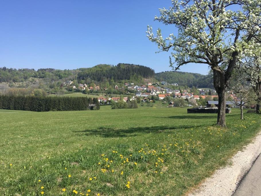Ferienwohnung Albliebe Messstetten ภายนอก รูปภาพ